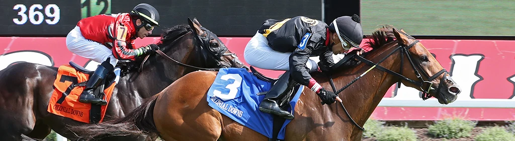 Image by Coady Photography