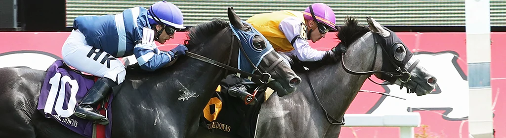 Image by Coady Photography