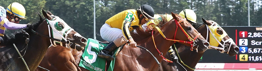 Image by Coady Photography