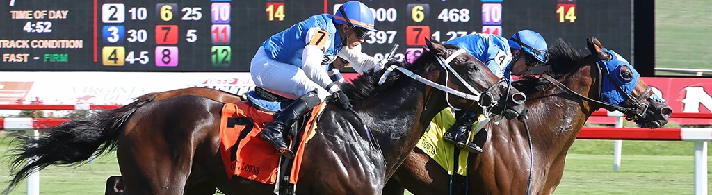 Image by Coady Photography