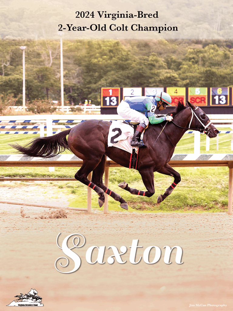 Jim McCue Photography