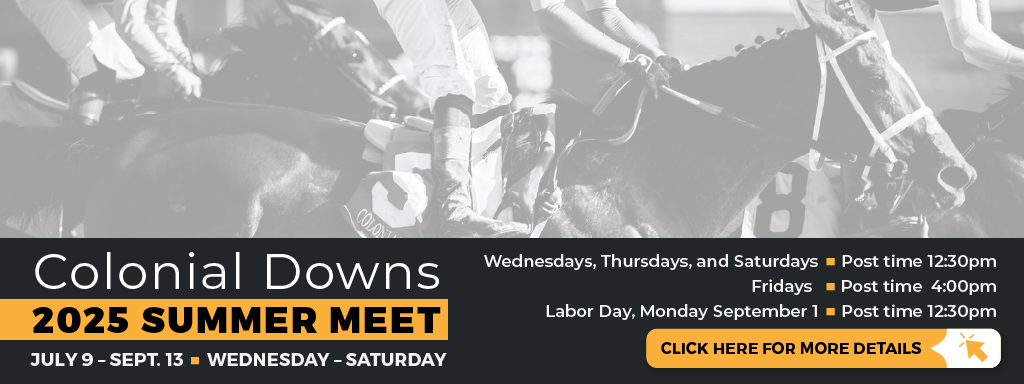 Ashley Nicole Photography