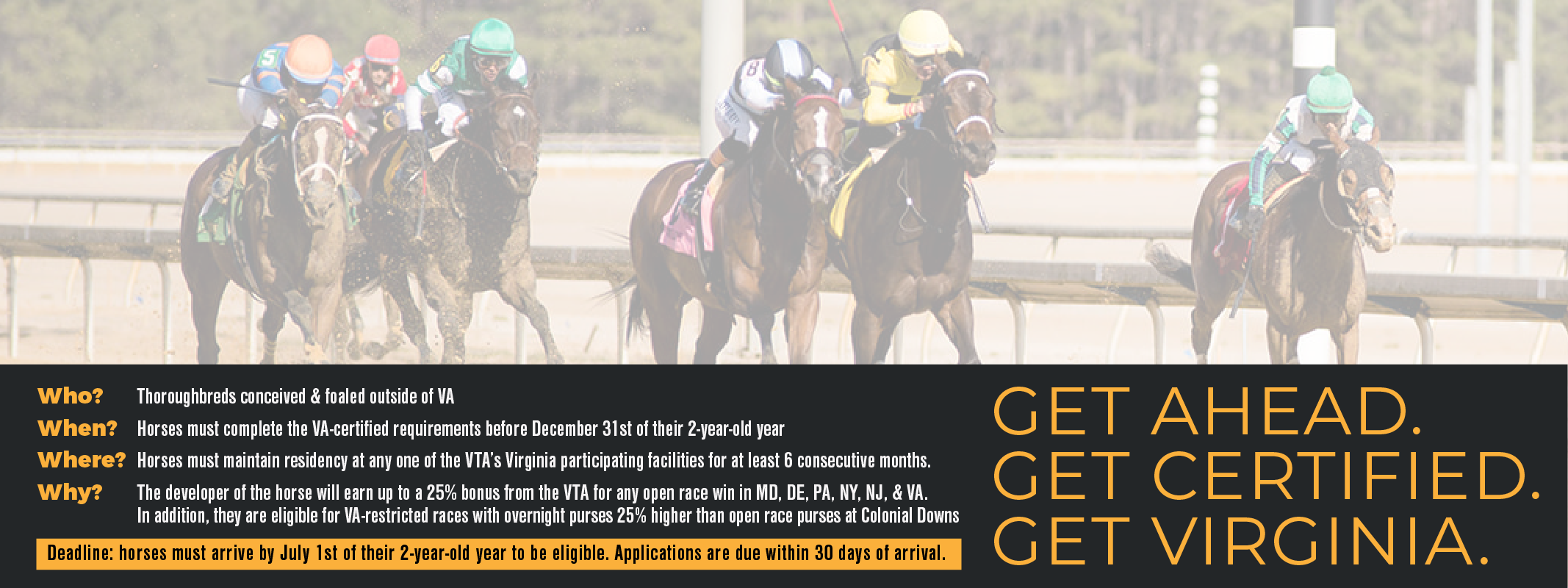 Ashley Nicole Photography