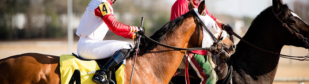 Ashley Nicole Photography