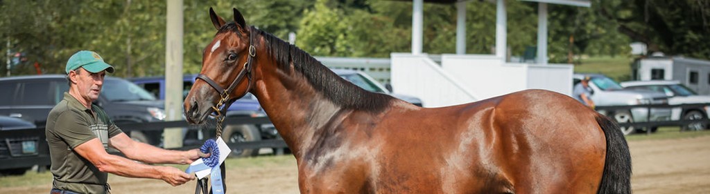 Hannah Jones Photography