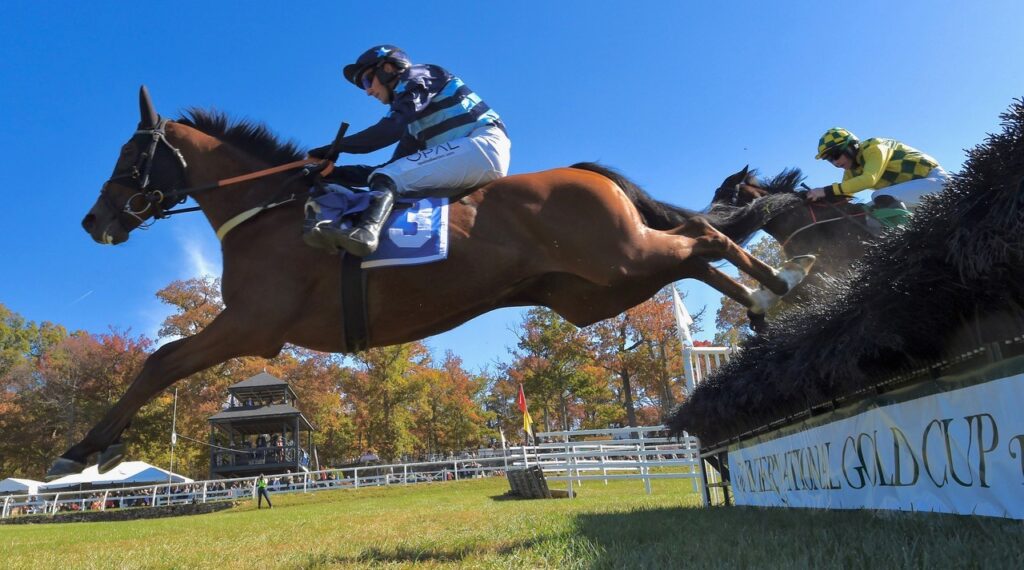 Douglas Lees Photography