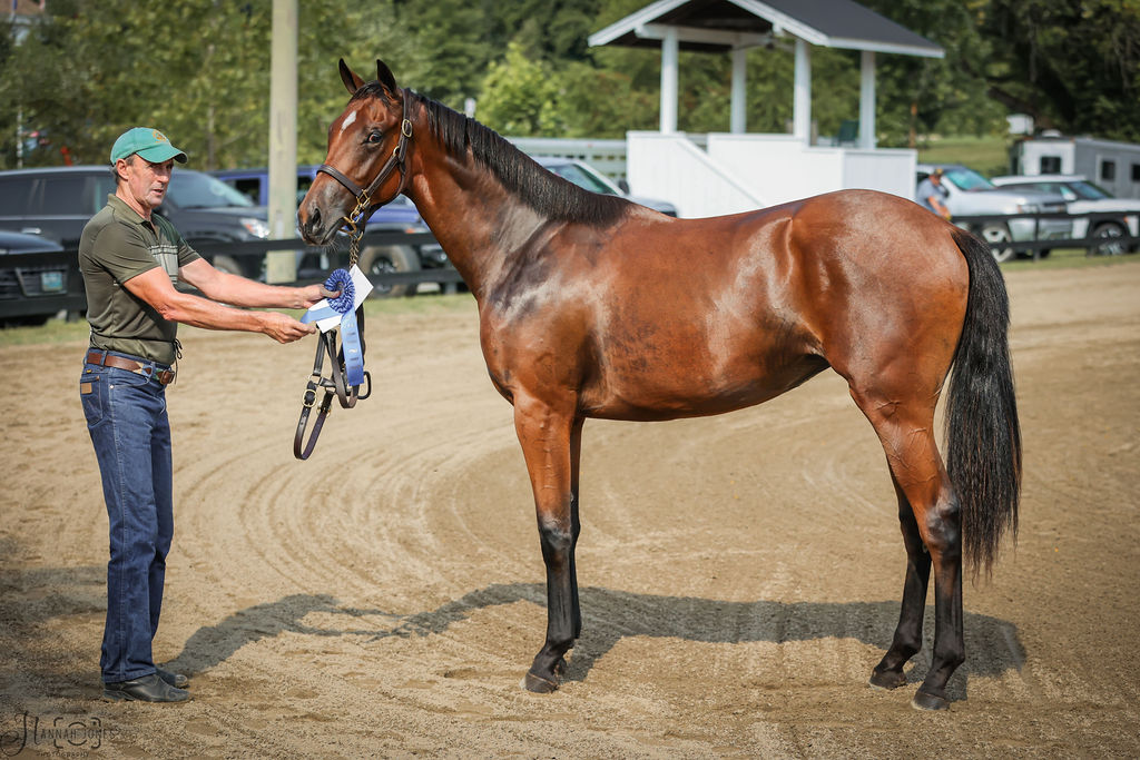 Hannah Jones Photography